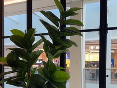 -同仁四季椰子鸡(无锡滨湖万象汇店)