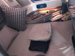 -新加坡航空公司(ION)