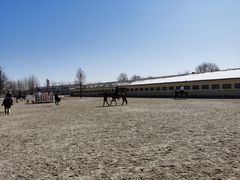 -北京群众马术培训基地