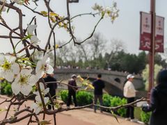 -赵州桥景区