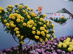 -南山植物园