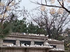 -中国翰园碑林