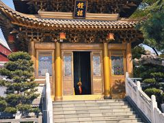 -上海东林寺(金山区)