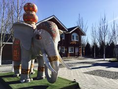 -永定河休闲森林公园