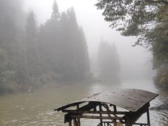 -龙苍沟森林公园