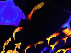 -中国马镇舞马世界主题乐园