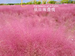 -嘉北郊野公园