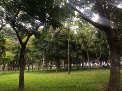 -深圳湾公园(南山区)