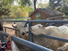 -长白岛森林公园