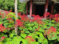 -马峦山郊野公园
