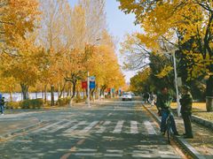 -吉林大学(南岭校区)