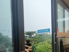 -蘇河湾·新鲁菜·泰山宴(泰山店)