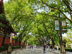-华清宫景区