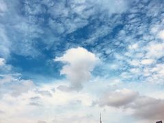 好可爱的棉花糖-顶层酒吧ROOF(上海艾迪逊酒店)