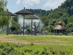 -宁波野生动物园