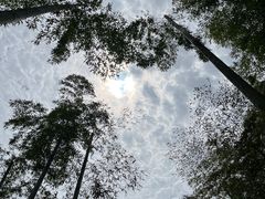 -中国大竹海景区