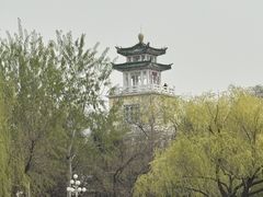 -天津水上公园
