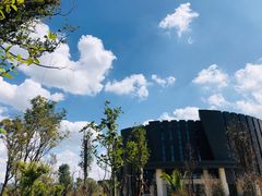 -云南艺术学院(呈贡校区)