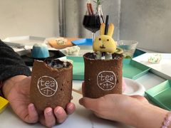 -茶是一枝花泡茶店