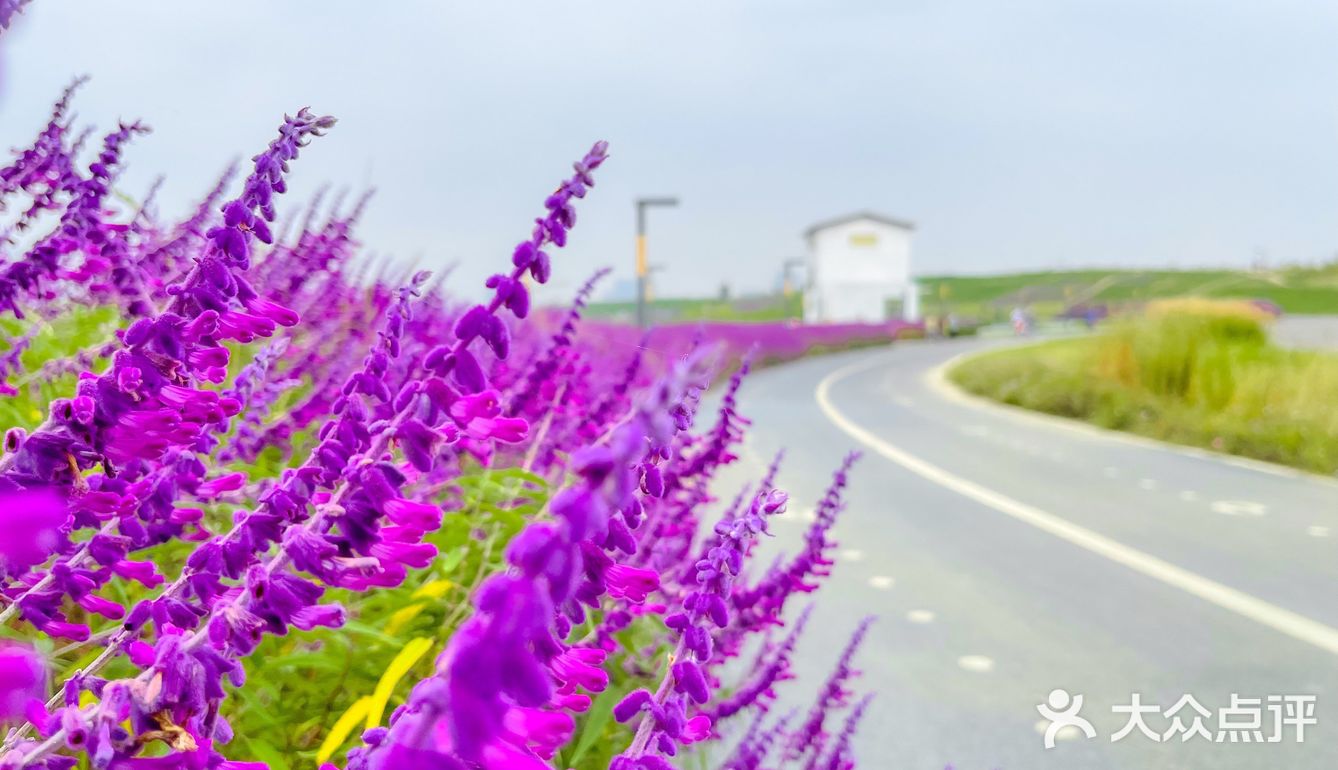 成都旅游｜这里拍照很出片