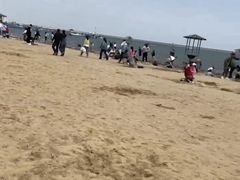 -碧海金沙