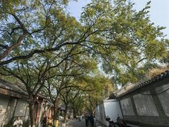 -北京国子监胡同