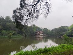 -雀儿山公园