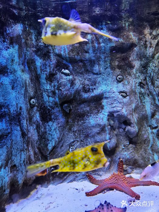 郑州海洋馆图片