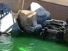-大江户·温泉洗浴(浑南店)