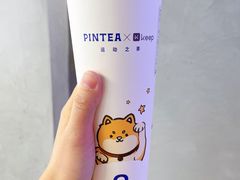 -PINTEA LAB(北京路店)