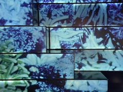 -同济大学四平路校区深海探索馆