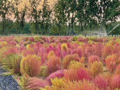 -汉长安城未央宫国家考古遗址公园