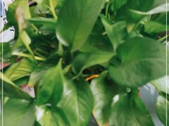 -中国建设银行(石家庄裕华支行)