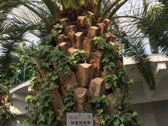 -北京植物园-展览温室