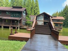 -黄海国家森林公园