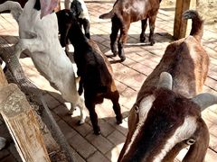 -水上乐园·欢乐世界