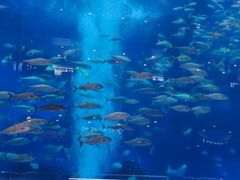 -成都浩海立方海洋公园