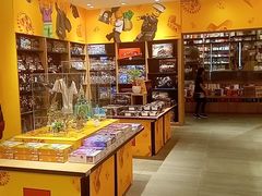 -覔书店(壹方城店)
