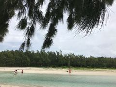 -塞尔夫岛