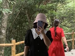 -江西阳明山国家森林公园