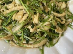 盐爆鸡丝蛰皮-砂锅李(九江路店)