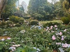 -静安公园(静安寺街道)