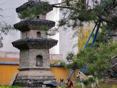 -龙华寺