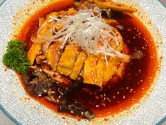 招牌口水鲜鸡-雀蓝川菜(奥体广场店)