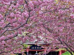 -石岛赤山风景区