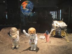 -济州岛泰迪熊博物馆