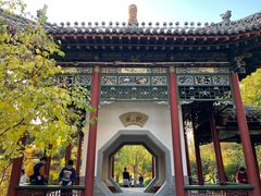 -迎泽公园