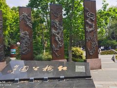 -红梅公园
