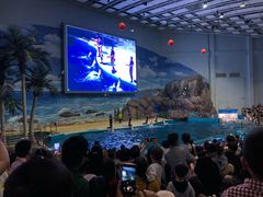 -福州罗源湾海洋世界旅游区