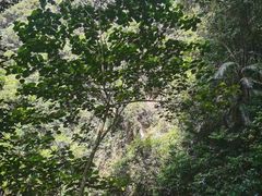 -桂山风景旅游区